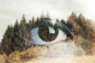 Before Artificial Intelligence, There Was Natural Intelligence: An Ayurvedic Perspective